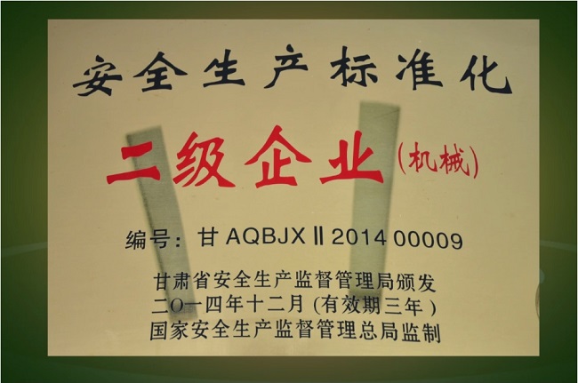 安全生產(chǎn)標(biāo)準(zhǔn)化二級(jí)企業(yè).jpg